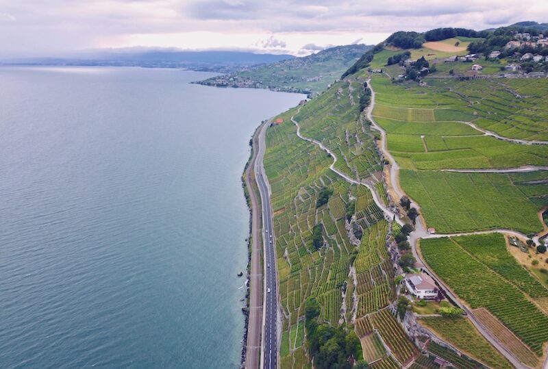 vignes-lavaux